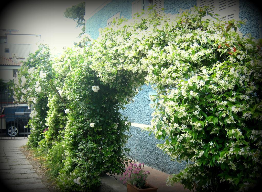 B&B Elisir Albenga Exterior foto